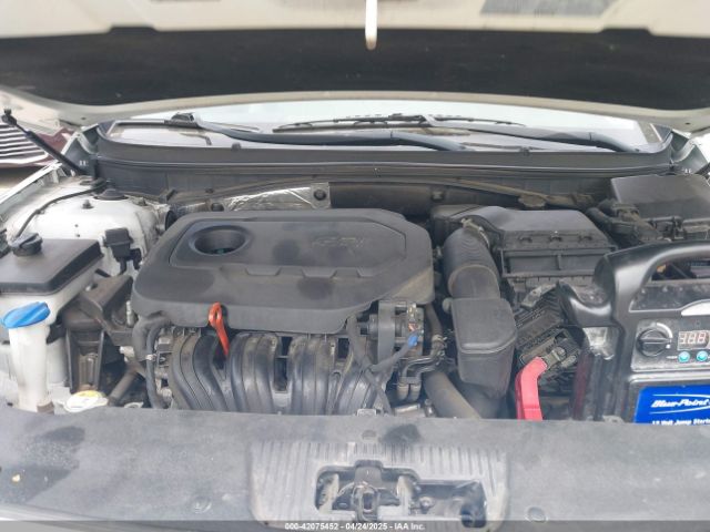 5NPE24AF8HH552970 Hyundai SONATA SE