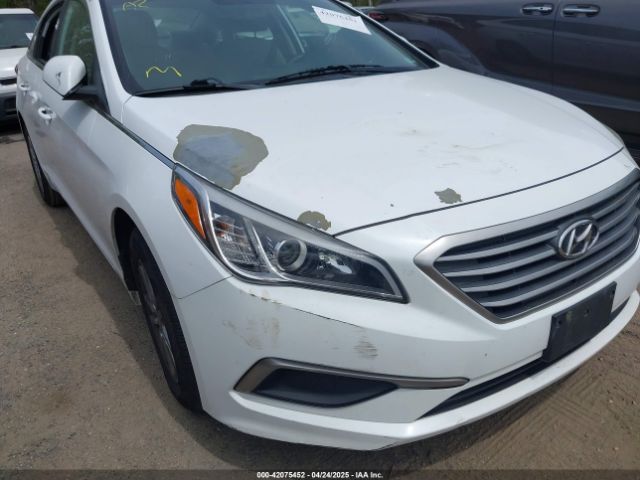 5NPE24AF8HH552970 Hyundai SONATA SE