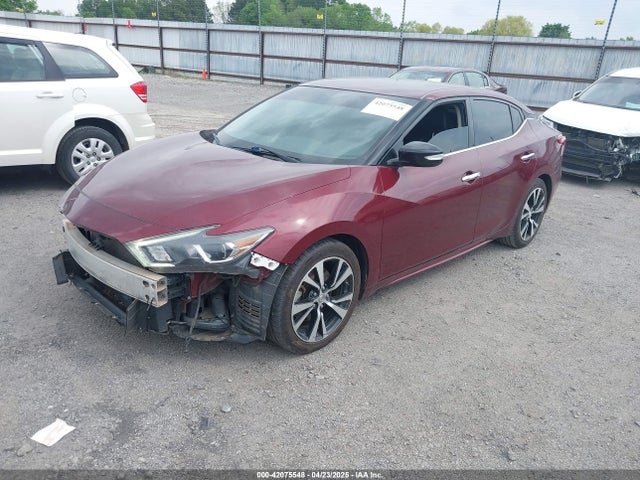 1N4AA6AP8JC381098 Nissan Maxima 3.5 Sv