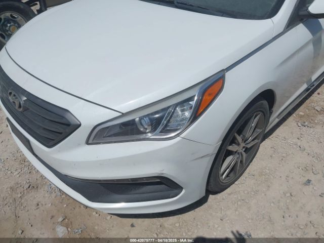 5NPE34AB1FH067383 Hyundai Sonata Sport 2.0t