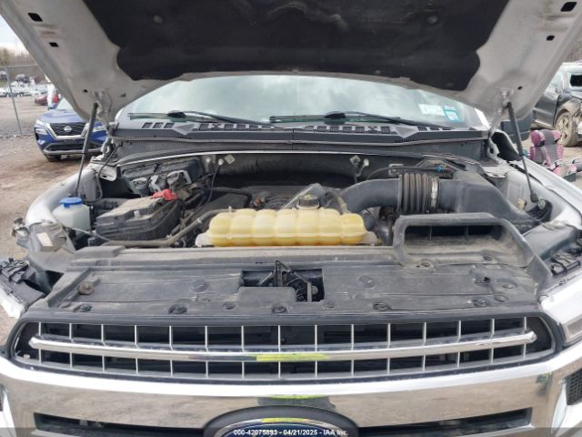 1FTEW1E54LFB01414 Ford F-150 Xlt