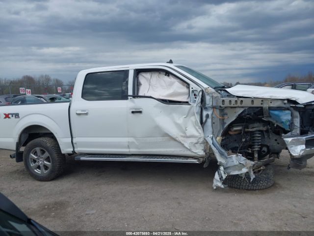 1FTEW1E54LFB01414 Ford F-150 Xlt