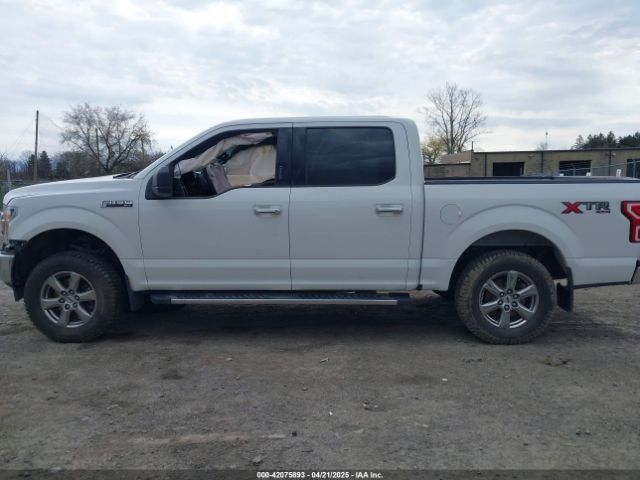 1FTEW1E54LFB01414 Ford F-150 Xlt
