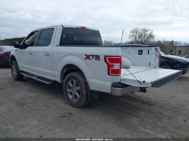 1FTEW1E54LFB01414 Ford F-150 Xlt