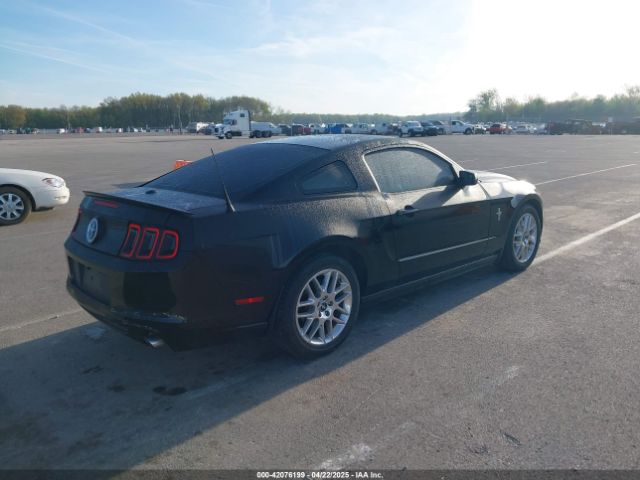 1ZVBP8AM9E5249554 Ford Mustang V6 Premium