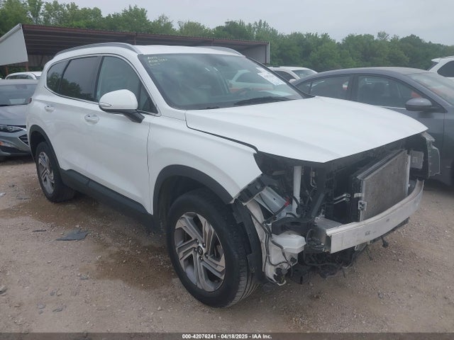 5NMS2DAJ0PH524289 Hyundai Santa Fe Sel