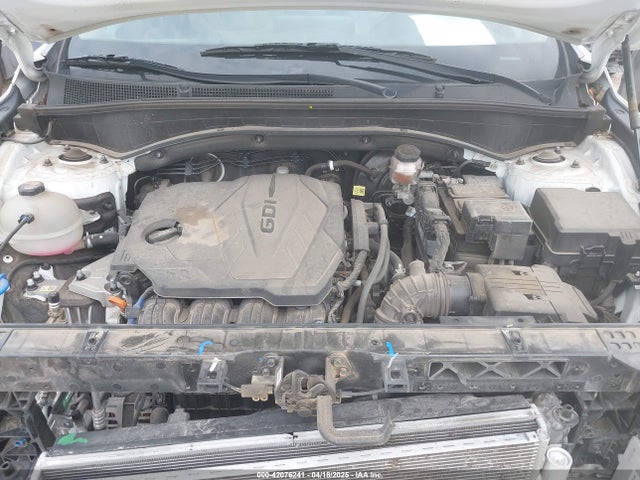 5NMS2DAJ0PH524289 Hyundai Santa Fe Sel