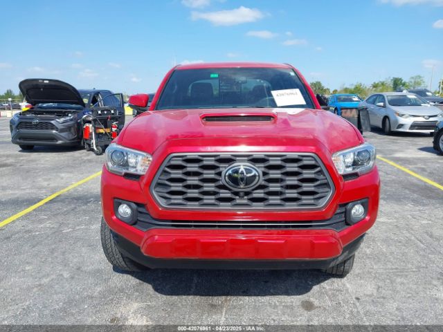 3TMCZ5AN1PM583051 Toyota Tacoma Trd Sport