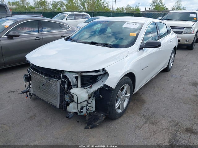 1G1ZB5ST8KF203815 Chevrolet Malibu 1ls