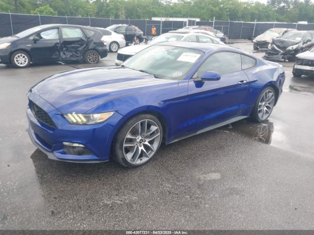 1FA6P8TH4F5346494 Ford Mustang Ecoboost