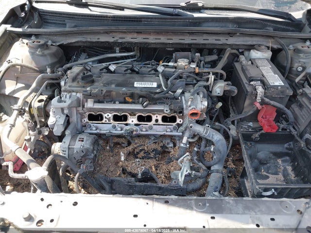 4T1F11AK0MU557031 Toyota CAMRY XLE