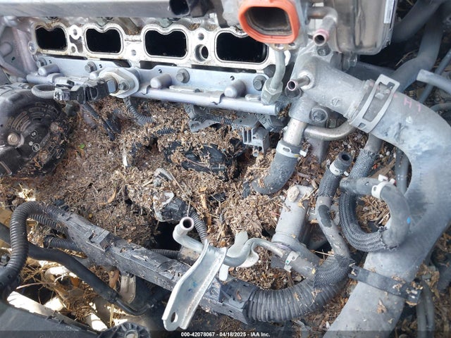 4T1F11AK0MU557031 Toyota CAMRY XLE