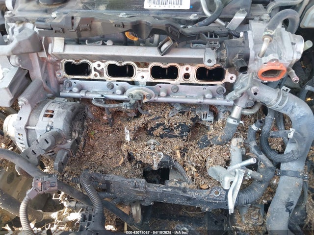 4T1F11AK0MU557031 Toyota CAMRY XLE