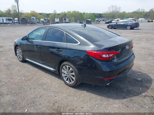 5NPE34AFXGH266534 Hyundai Sonata Sport