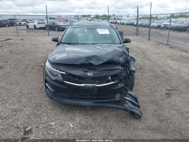 5XXGU4L35GG010628 KIA OPTIMA EX