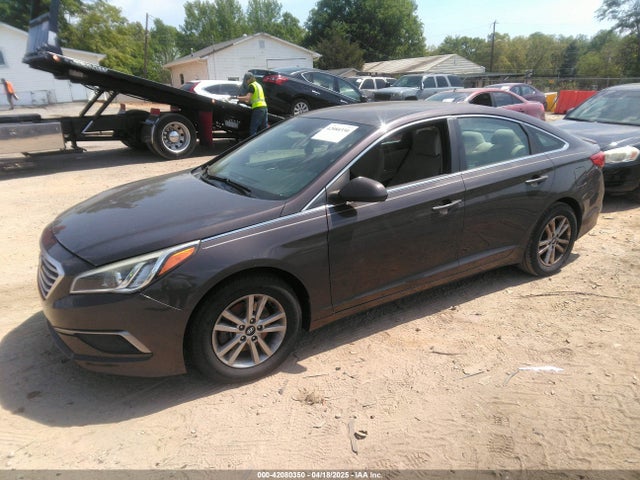 5NPE24AF8GH321923 Hyundai SONATA SE