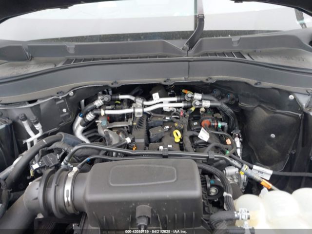 1FMSK8DH6MGC22312 Ford EXPLORER XLT