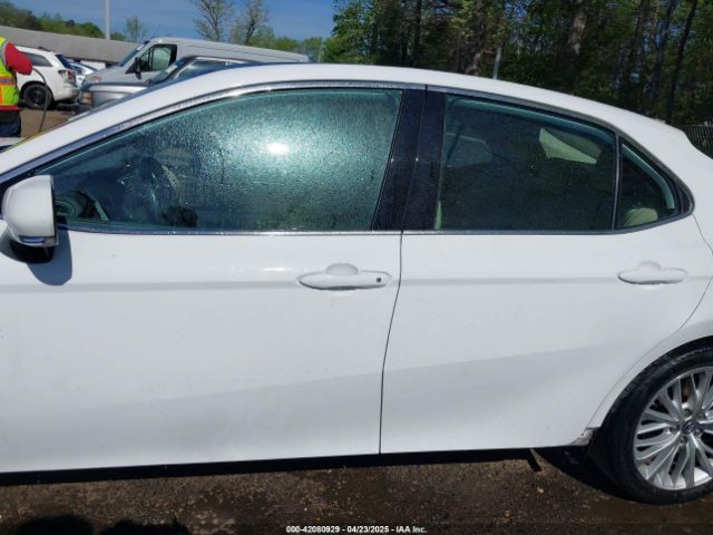 4T1B11HK1KU782995 Toyota CAMRY XLE