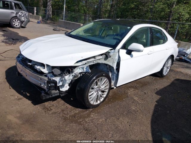 4T1B11HK1KU782995 Toyota CAMRY XLE