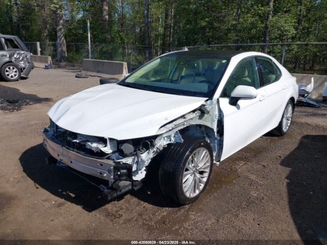 4T1B11HK1KU782995 Toyota CAMRY XLE
