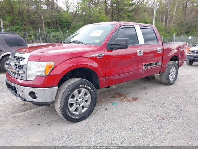 1FTFW1EF5EFA74675 Ford F-150 Xlt