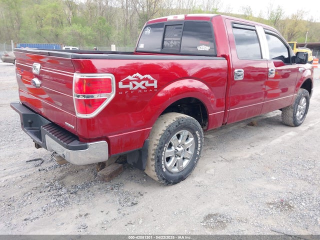1FTFW1EF5EFA74675 Ford F-150 Xlt