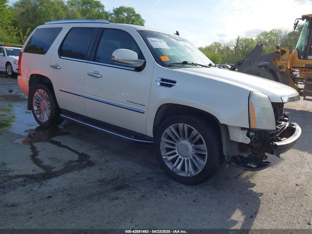 2010 CADILLAC ESCALADE 1GYUKBEF6AR122941 Photo 0