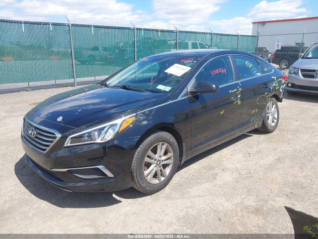 5NPE24AF6GH407389 Hyundai SONATA SE