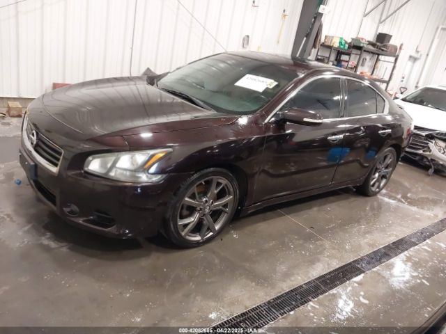 1N4AA5AP5EC910605 Nissan Maxima 3.5 Sv