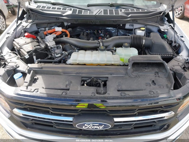 1FTFW3LD4RFA19847 Ford F-150 Xlt