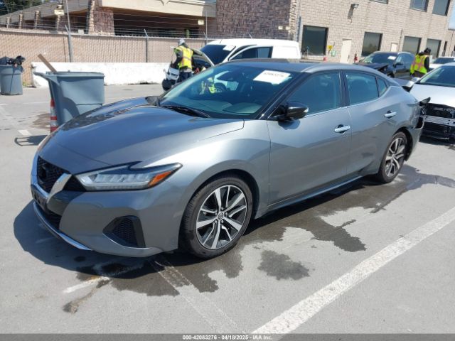 1N4AA6CV3MC506783 Nissan Maxima Sv Xtronic Cvt