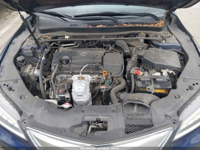 19UUB1F51FA004938 Acura TLX TECH