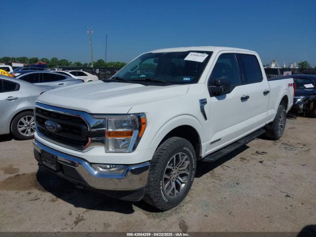 1FTFW1E17MFC73360 Ford F-150 Xlt