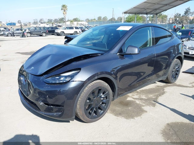 7SAYGDEEXRF146109 Tesla 2024