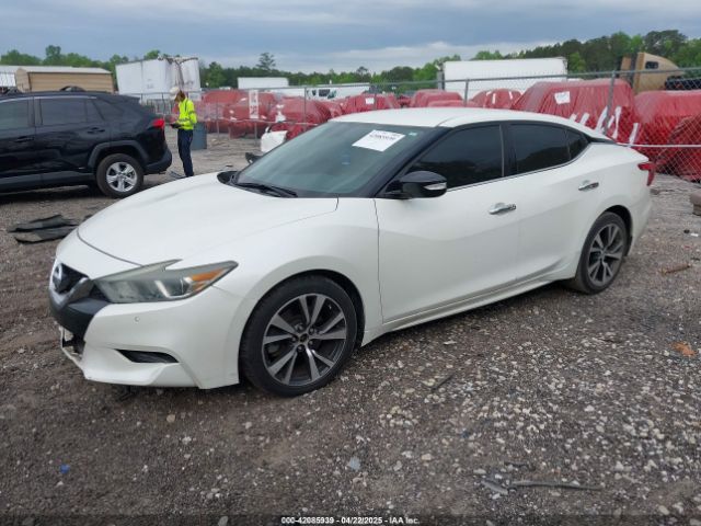 1N4AA6APXGC419665 Nissan Maxima 3.5 Sv