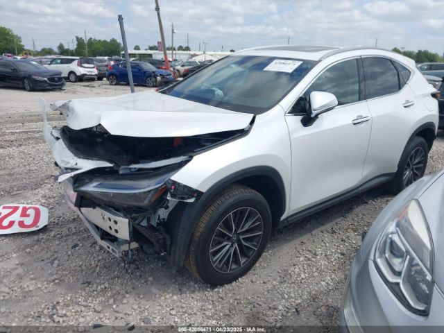 JTJAKCEZ8R5020131 Lexus NX 350H