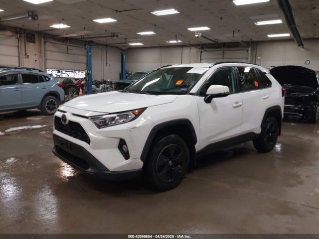 2T3P1RFV3KW017781 Toyota Rav4 Xle