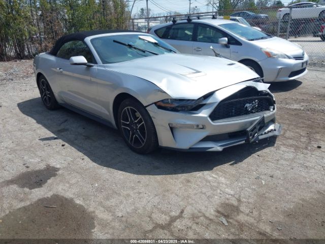 2019 FORD MUSTANG 1FATP8UH0K5170023