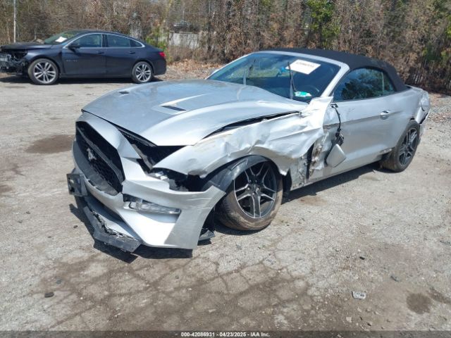2019 FORD MUSTANG 1FATP8UH0K5170023 Photo 1