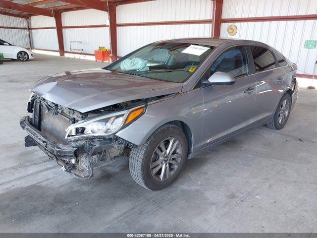 5NPE24AF6HH527968 Hyundai 2017