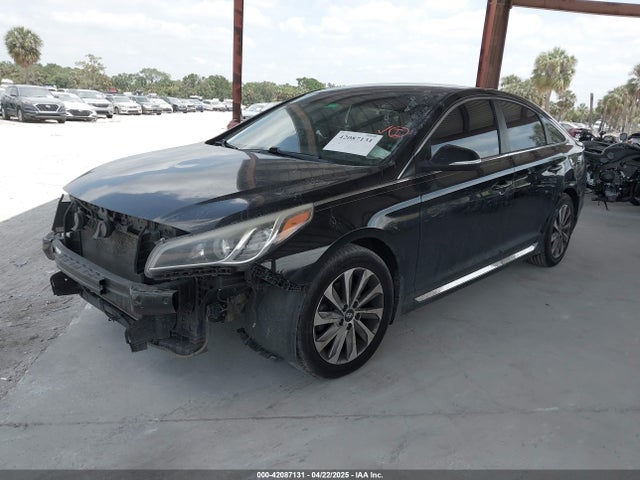 5NPE34AF6FH241368 Hyundai Sonata Sport