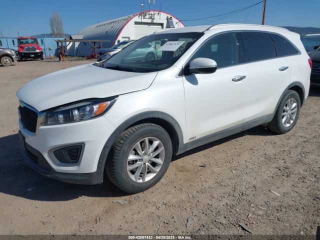 5XYPGDA56HG191084 KIA Sorento 3.3l Lx