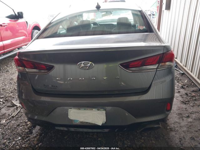 5NPE24AF9JH675456 Hyundai SONATA SE