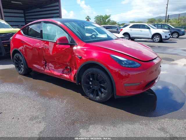 2023 TESLA MODEL Y 7SAYGDEE5PA167914 Photo 0