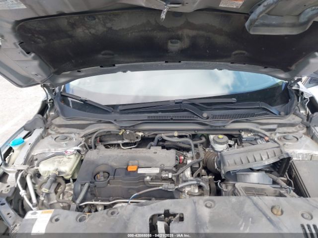 2HGFC2F60LH565181 Honda Civic Lx