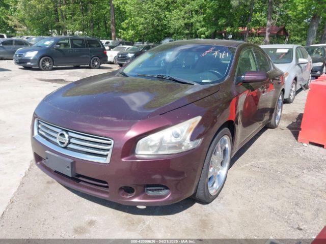 1N4AA5AP1EC435440 Nissan Maxima 3.5 S
