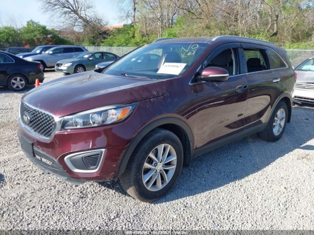 5XYPG4A37HG255017 KIA Sorento 2.4l Lx