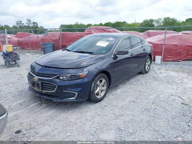 1G1ZB5ST7HF250438 Chevrolet MALIBU LS