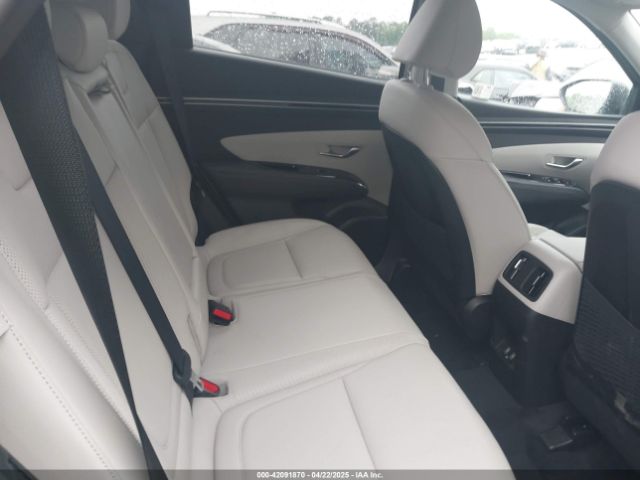 2024 HYUNDAI TUCSON HYBRID KM8JECD10RU226731 Photo 7