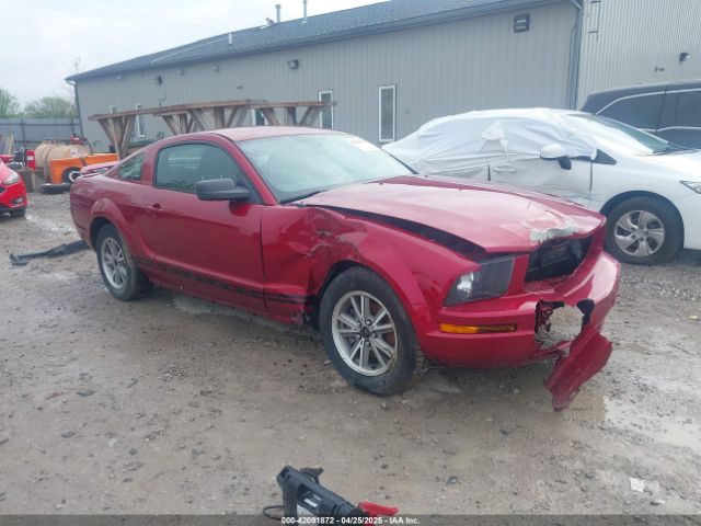 2005 FORD MUSTANG 1ZVFT80N255172159